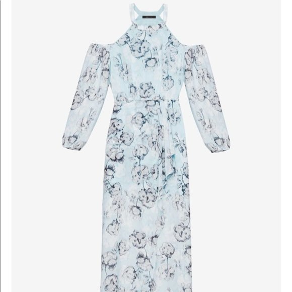 BCBGMAXAZRIA ISABELE FLORAL-PRINT MAXI DRESS Size 4 $298 - Picture 6 of 11